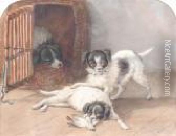 Playful Dogs With A Bird's Wing Oil Painting - Henriette Ronner-Knip
