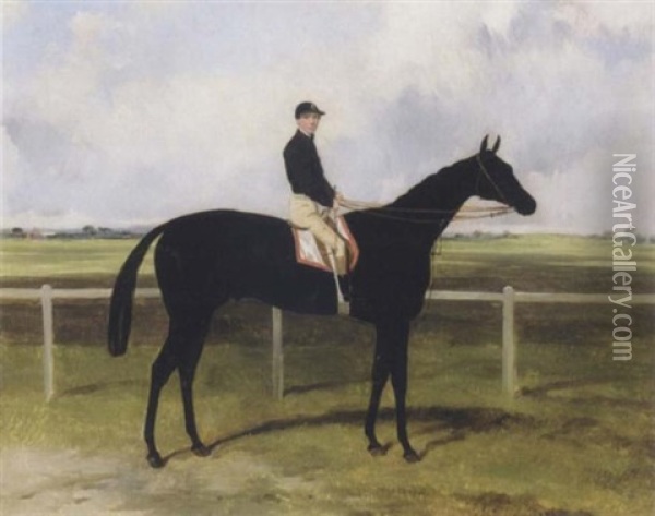 Mr. Osborne's The Black Doctor,  A Black Colt Racehorse With W. Hiett Up, A Racecourse Beyond Oil Painting - Harry Hall