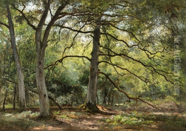 Forest View Oil Painting - Cesar De Cock