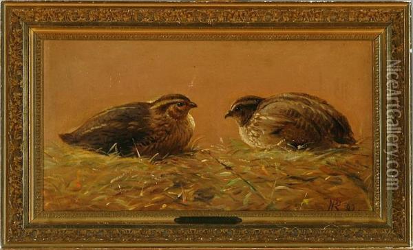 A Couple Of Young Quails On A Lawn Oil Painting - R.C. Rasmussen