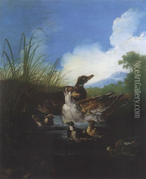 Canards Dans Un Etang Oil Painting - Angelo Maria (Crivellone) Crivelli