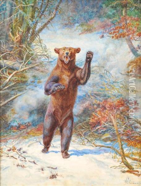Bear Oil Painting - Edmund Caldwell