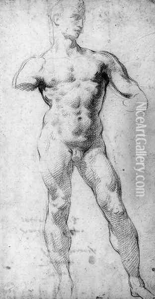 A nude in the pose of Michelangelo's David Oil Painting - Florentine School