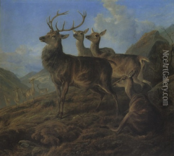 A Stag With Hinds In A Highland Landscape Oil Painting - Charles Jones