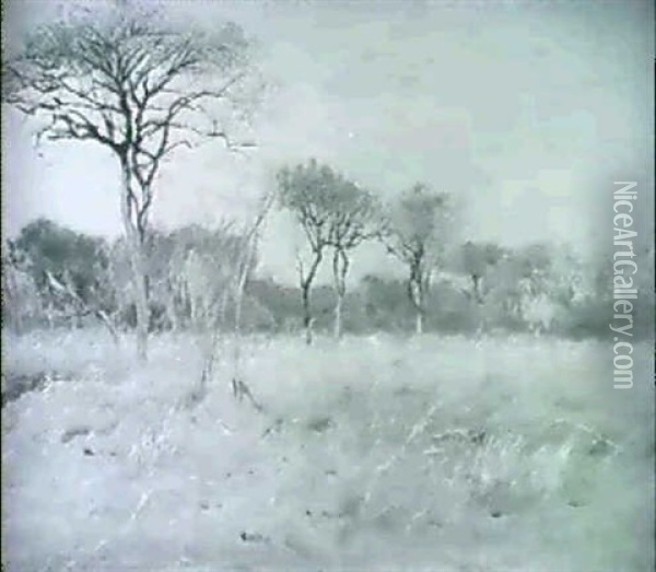 Afrikanische Savannenlandschaft Mit Einzeln Stehenden Baumen Und Karger Grasvegetation Oil Painting - Wilhelm Friedrich Kuhnert
