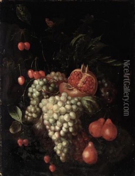 Still Life Of Grapes, Cherries, Pears And A Pomegranate Oil Painting - Joris Van Son