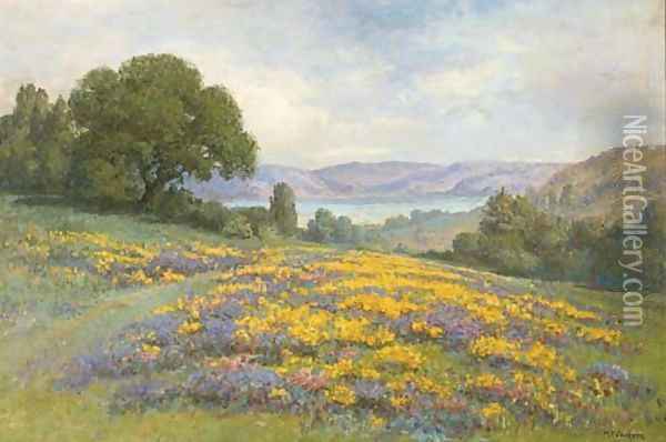 Poppy Field Oil Painting - William Jackson