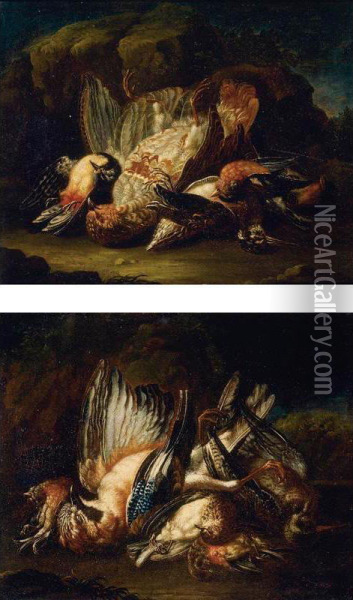 Game Birds Oil Painting - Alessandro Gori