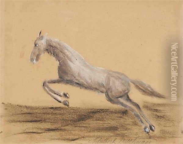Springendes Pferd Oil Painting - Adalbert Trillhaase