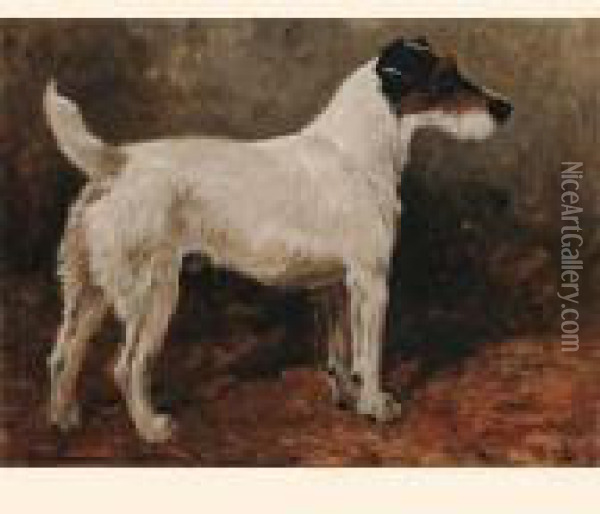 Champion Wire Fox Terrier Roper's Nutcrack, F.t.c. Stud Book No.8084. Oil Painting - John Emms