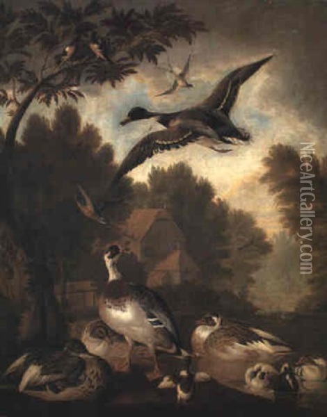 Mallard Drakes And Ducks On Wooded River Bank Oil Painting - Pieter Casteels III