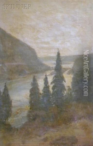 Pines And Coast Oil Painting - Edwin Willard Deming