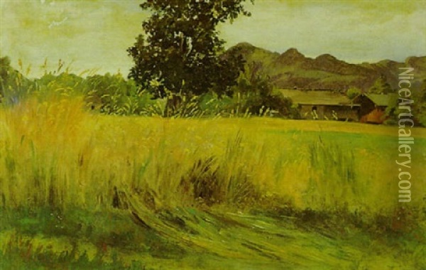 Wiesenlandschaft Oil Painting - Adolf Heinrich Lier