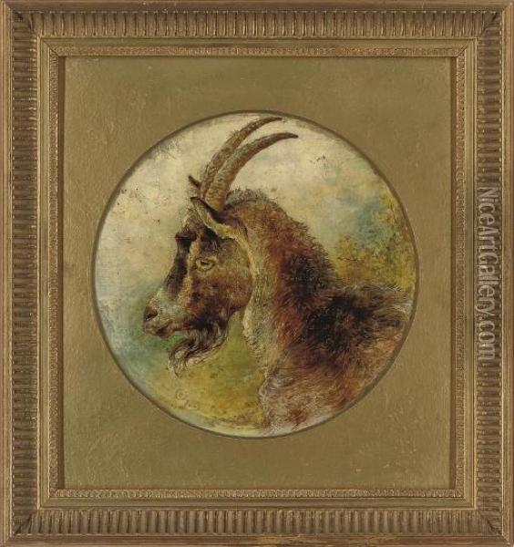 Head Of A Billy Goat Oil Painting - William Huggins