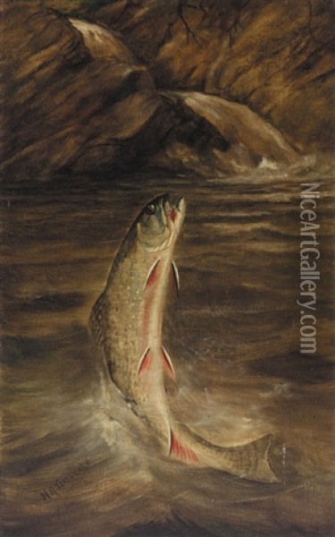 Leaping Trout Oil Painting - Harry Driscole