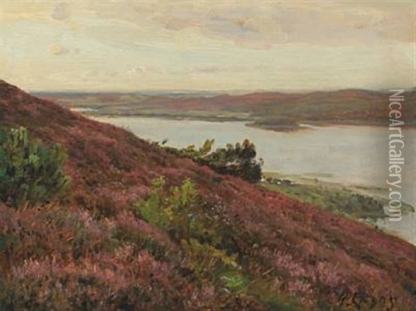 View Of The The Lakes At Silkeborg Oil Painting - Godfred Christensen