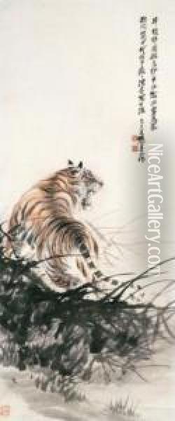 Growling Tiger Oil Painting - Zhang Shanzi