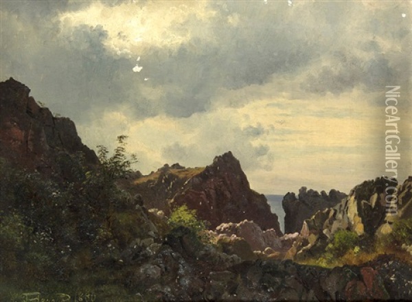 Landschaft Mit Klippen (bornholm) Oil Painting - Carl Frederik Peder Aagaard