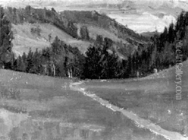 Landschaft Mit Feldweg Im Jura Oil Painting - Albert Schweizer