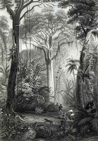 Scene in a Brazilian Forest Oil Painting - Henry George Hine