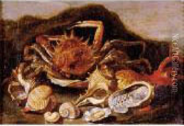 Still Life Of A Crab, Shells And Coral In A Landscape Oil Painting - Paolo Porpora