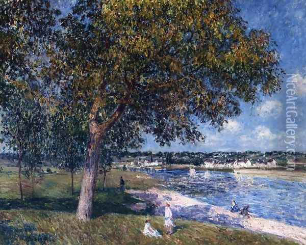 Walnut Tree in a Thomery Field Oil Painting - Alfred Sisley