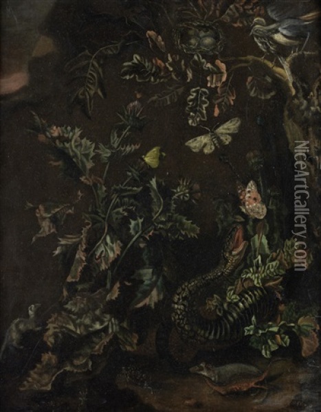 A Forest Floor Still Life With A Thistle, A Bird's Nest, Butterflies, A Snake, And Other Animals Oil Painting - Isac Vromans