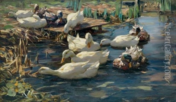 Weise Enten Am Seeufer - White Ducks On The Lakeshore Oil Painting - Alexander Max Koester