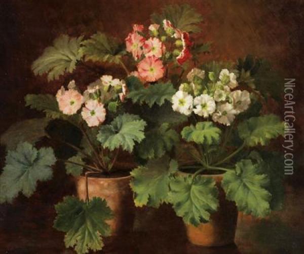 Belgian - Still Life With Pottedplants Oil Painting - Jean Capeinick