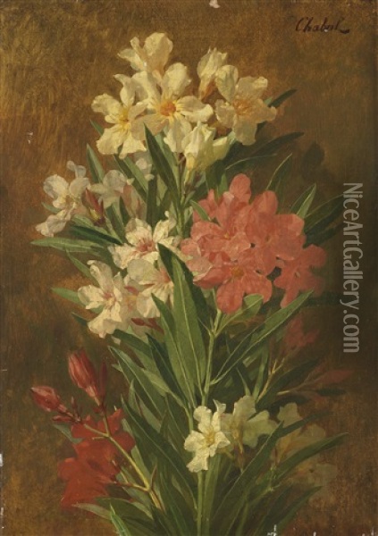 Rot Und Weis Bluhender Oleander Oil Painting - (Pierre-Adrien) Chabal-Dussurgey