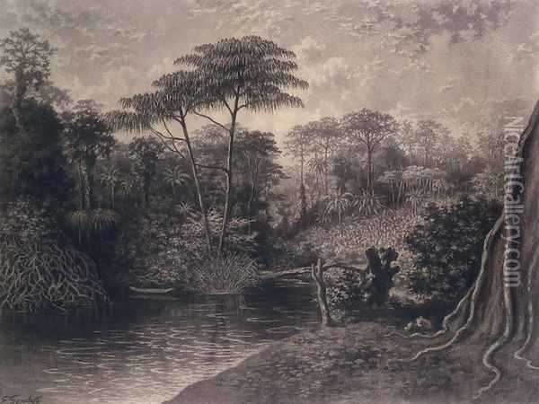View of the Cameroon River, Ambes Bay, Africa, 1877 Oil Painting - Emma Sandys