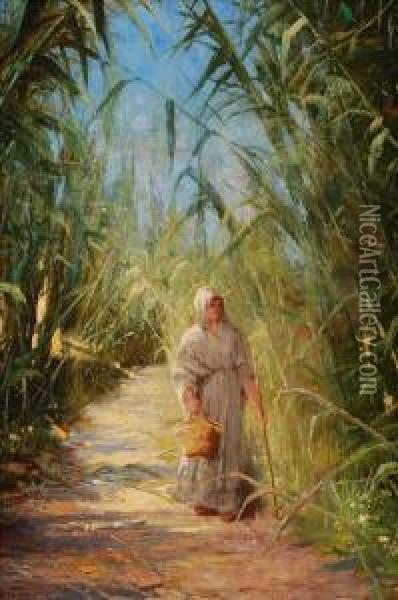 A Woman Walkingthrough A Sugar Plantation Oil Painting - Theodor Ohlsen