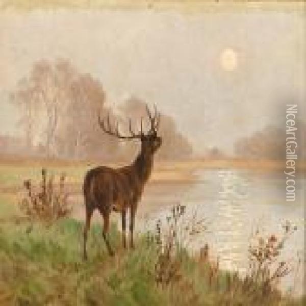 A Deer In The Morning Light Oil Painting - Poul Steffensen