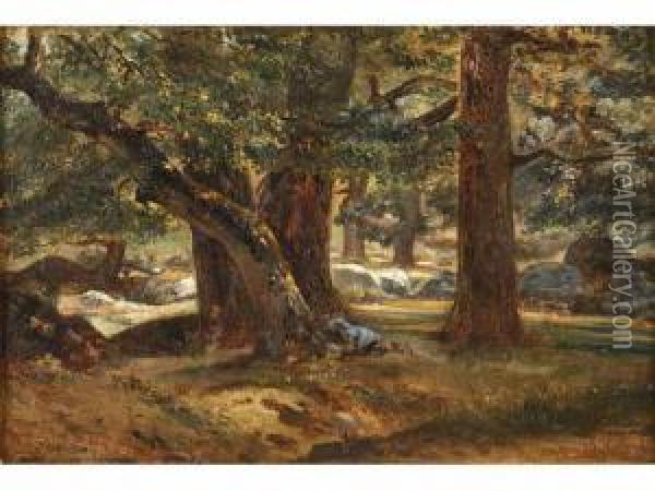 Sous-bois A Fontainebleau Oil Painting - Camille Flers