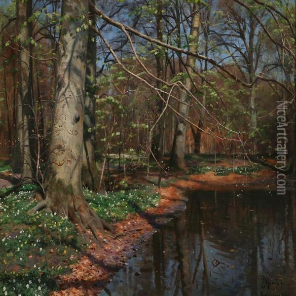 A Forest Lake Oil Painting - Peder Mork Monsted