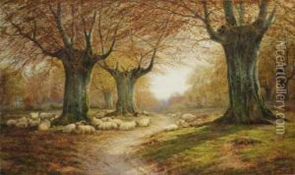 An Autumnal Landscape Oil Painting - William Snr Luker