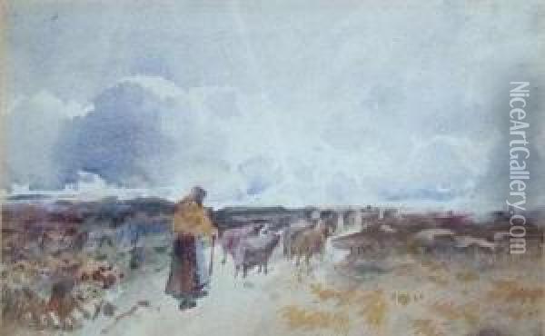 Driving Moorland Sheep. Oil Painting - John Gutteridge Sykes