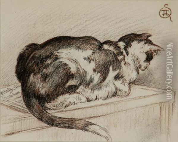 Cat At Rest Oil Painting - Theophile Alexandre Steinlen