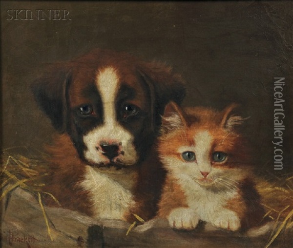 Kitten And Puppy In A Manger Oil Painting - Sidney Lawrence Brackett