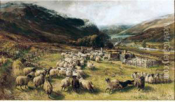 Sheep Gathering Oil Painting - Joseph Denovan Adam
