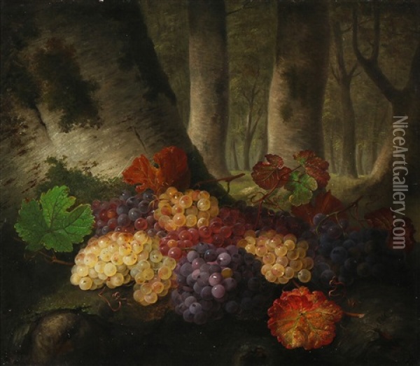 Black And White Grapes On A Forest Floor Oil Painting - Johannes Ludwig Camradt