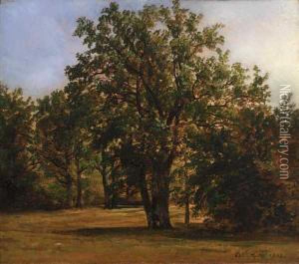 Landskap Oil Painting - Johan Christian Clausen Dahl