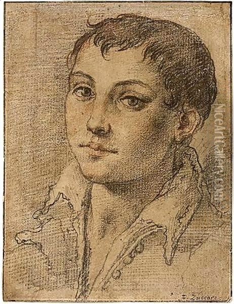 The Head Of A Boy Oil Painting - Federico Zuccaro