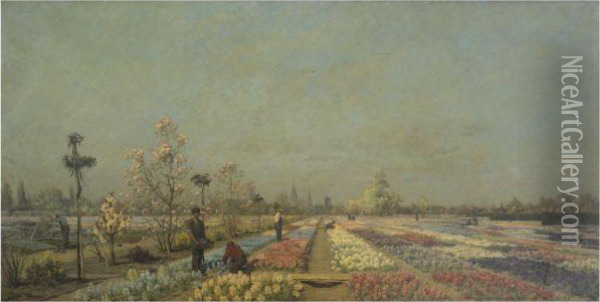 Tulip Fields Oil Painting - Adrien Louis Demont