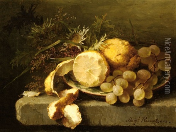 Still Life With Grapes And Lemons On A Ledge Oil Painting - Margaretha Roosenboom