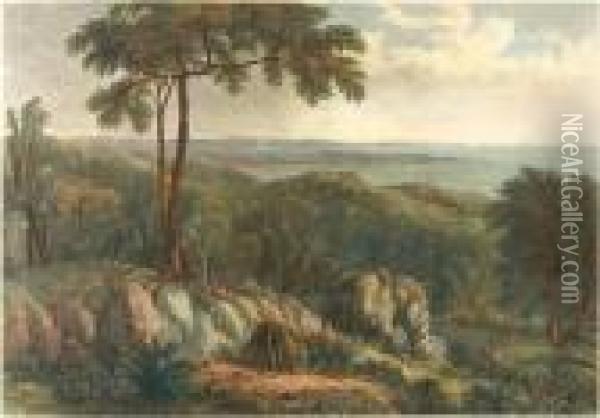 Views Of Australian Scenery Oil Painting - William Westall