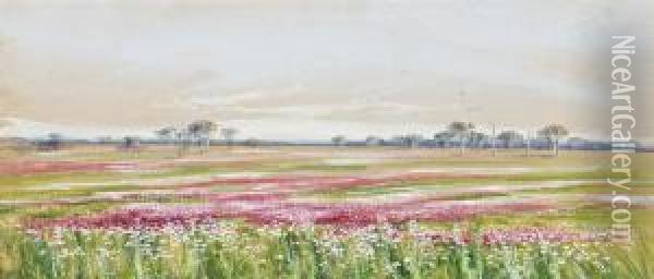Western Australian Wildflowers Oil Painting - Marian Ellis Rowan