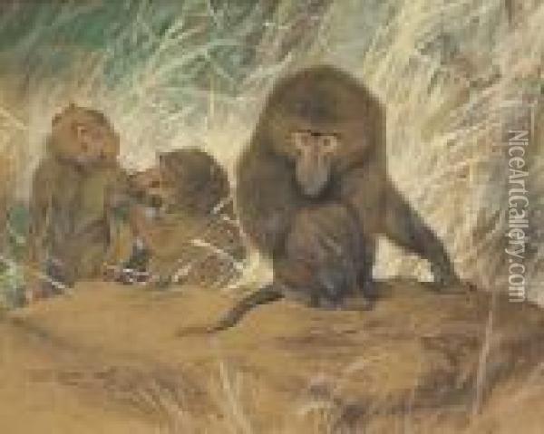 Three Baboons Seated On A Rock Oil Painting - Wilhelm Kuhnert