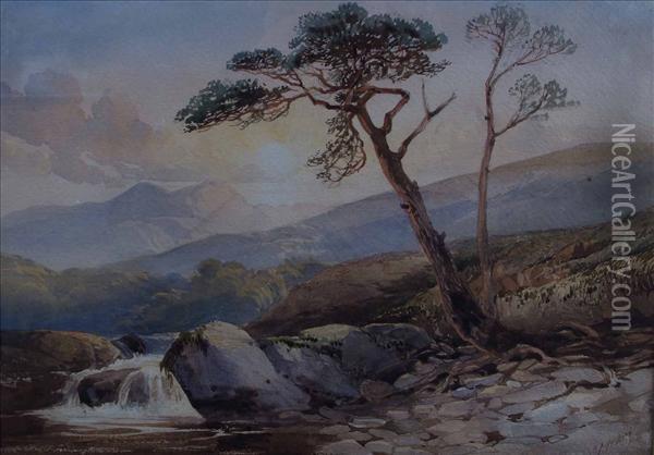 A Welsh Riverlandscape Oil Painting - David Hall McKewan