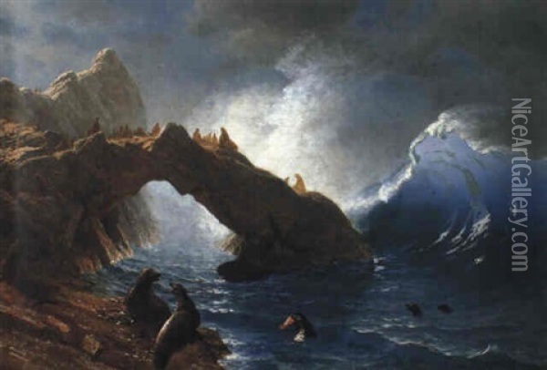 Seals On The Rocks Oil Painting - Albert Bierstadt